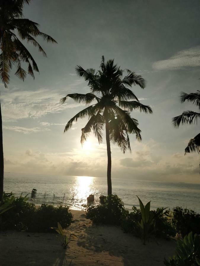 Alkina Lodge Fulidhoo Dış mekan fotoğraf